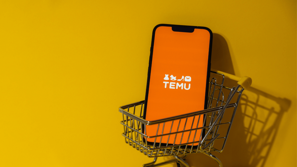 真假Temu？Temu起诉更多的假冒网站，并索赔百万美元！